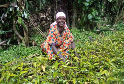 Dushiku Kajin, with her coffee seedlings 