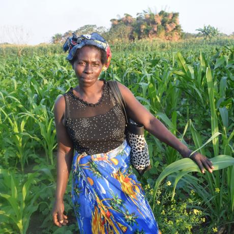 Walipa is a smallholder farmer from northern Malawi.
