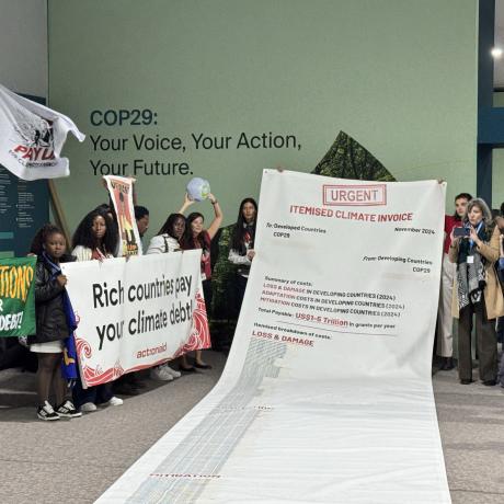 COP29 Invoice Action