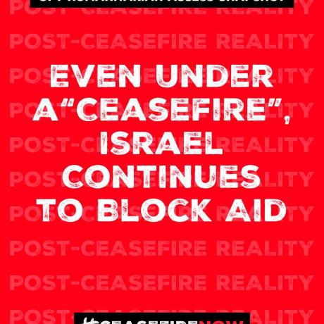Ceasefire Now Coalition 