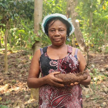 Haiti’s PARAGA project assisted Elisée Elitane of Bois Neuf Malor to  improve her cultivation of yam and banana.